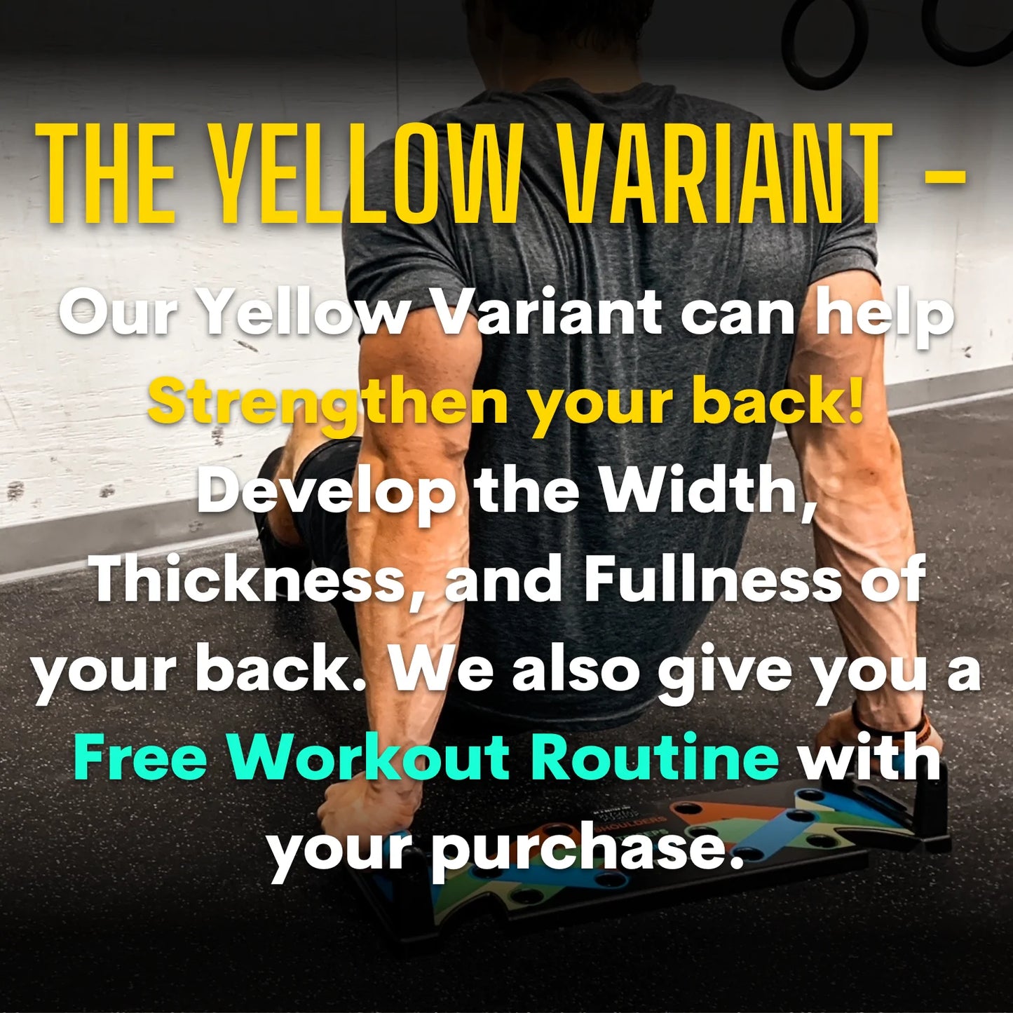 CF | Championfit Push Up Board - FITBOARD