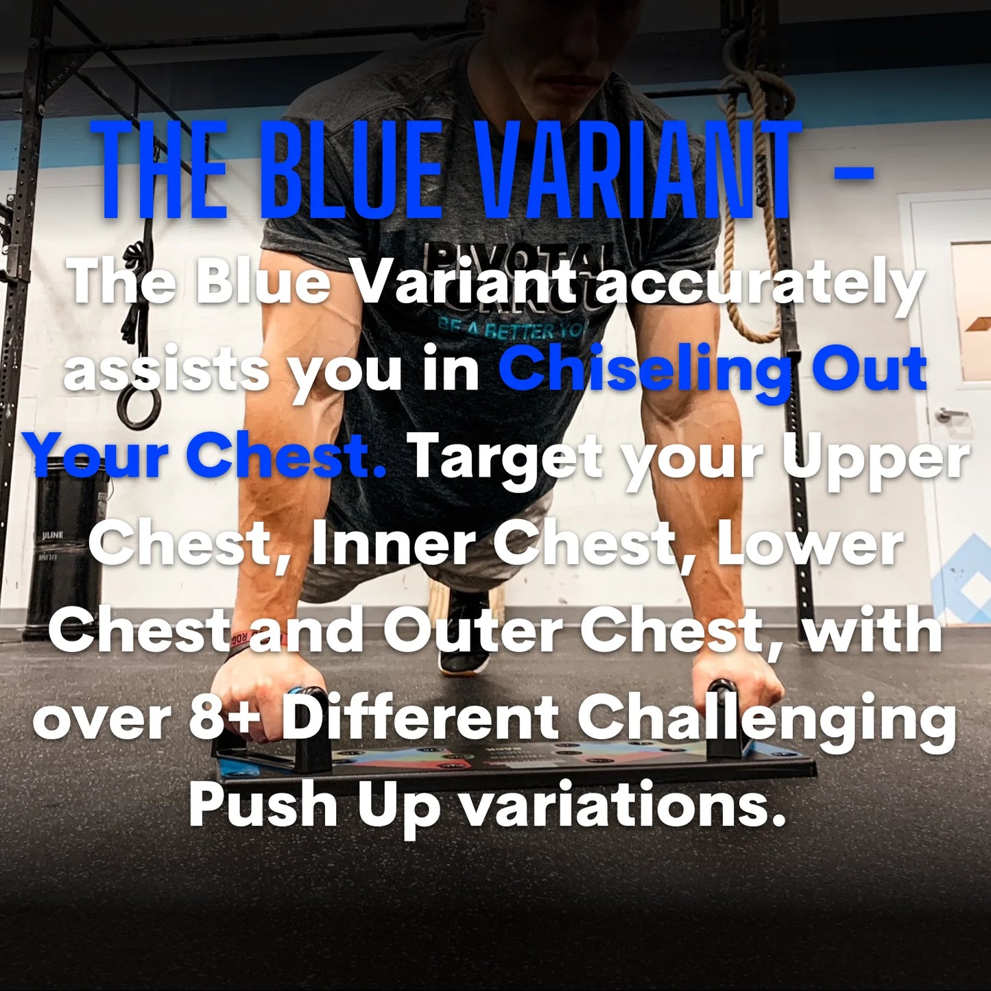 CF | Championfit Push Up Board - FITBOARD